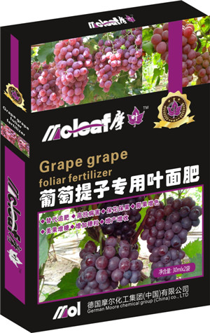 葡萄提子葉面肥