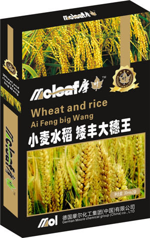 小麥水稻葉面肥(矮豐大穗王)
