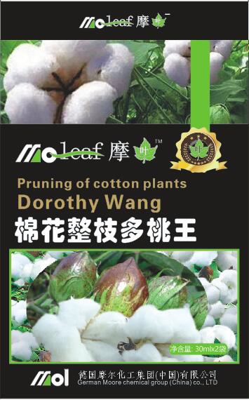 棉花葉面肥(棉花整枝多桃快)