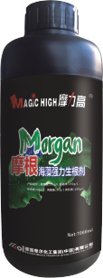 摩根海藻強(qiáng)力生根劑