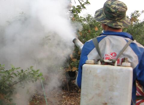 葉面噴施 葉面噴施