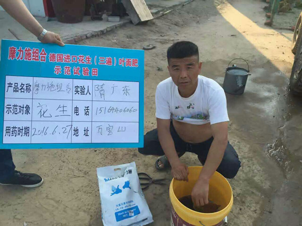 摩爾水溶肥在花生田間試驗 摩爾水溶肥在花生田間試驗