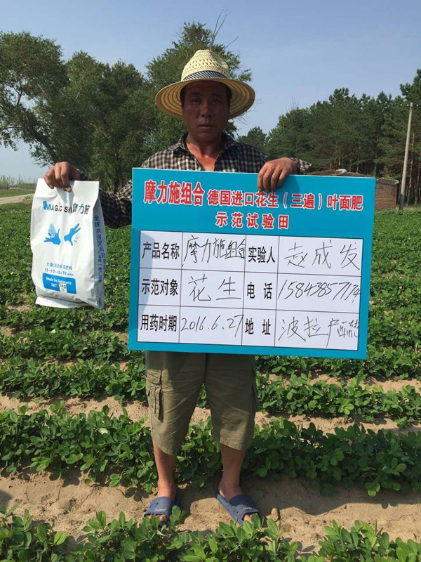 摩爾水溶肥在花生上的試驗 摩爾水溶肥在花生上的試驗