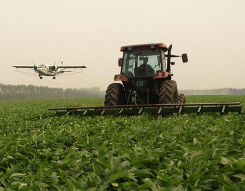 蔬菜水溶肥選擇 蔬菜水溶肥選擇