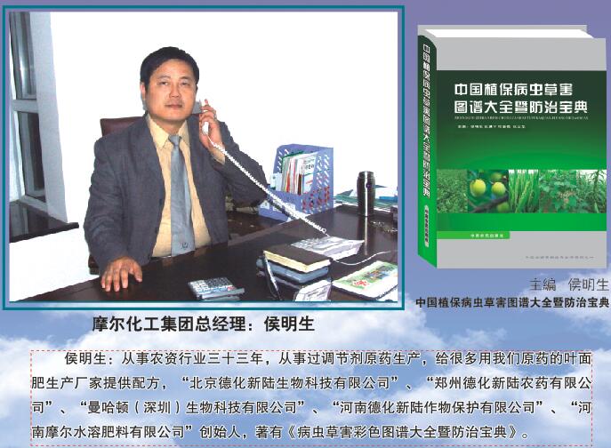 摩爾化工集團總經理 摩爾化工集團總經理