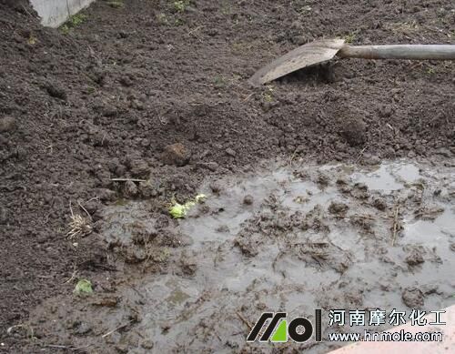 西紅施底肥 西紅施底肥