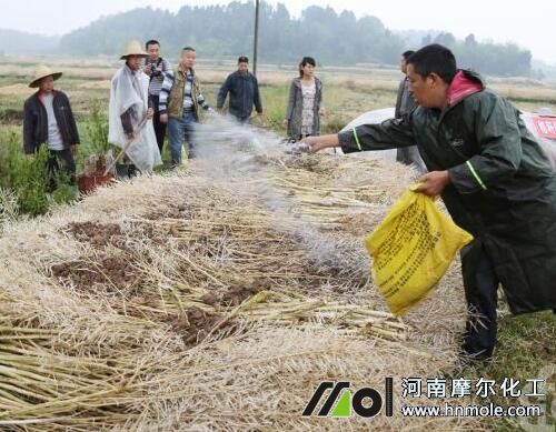 桃樹施入腐熟有機肥 桃樹施入腐熟有機肥