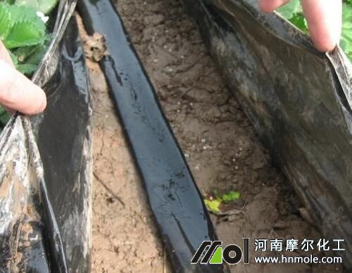 滴灌設備養護 滴灌設備養護