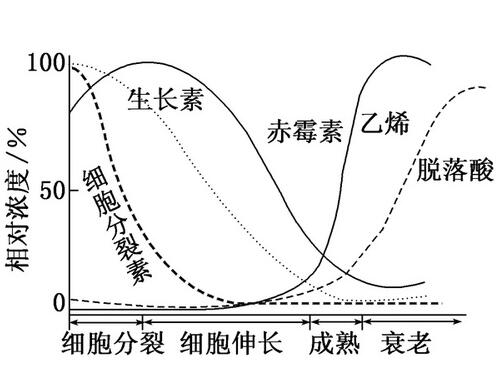 激素肥料見效時間 激素肥料見效時間