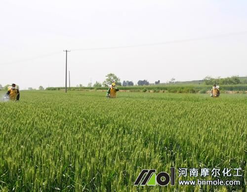 大量元素水溶肥質量辨別 大量元素水溶肥質量辨別