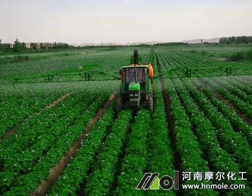 水溶肥葉面噴施 水溶肥葉面噴施