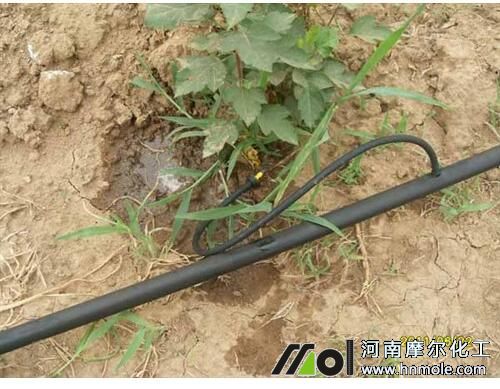 水溶肥料滴灌 水溶肥料滴灌