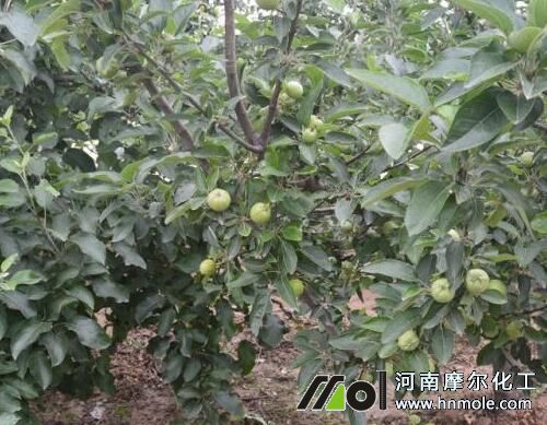 高鉀型水溶肥在果樹作用 高鉀型水溶肥在果樹作用