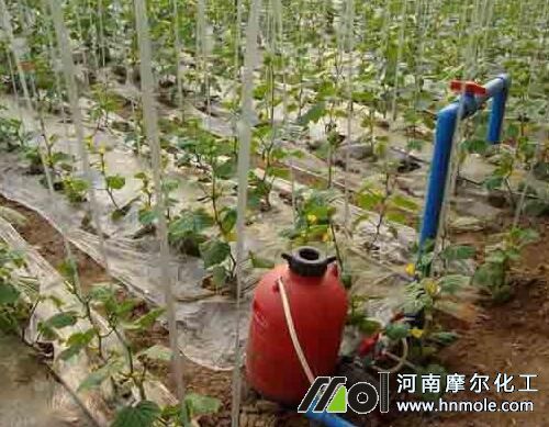 大量元素水溶肥持效期 大量元素水溶肥持效期