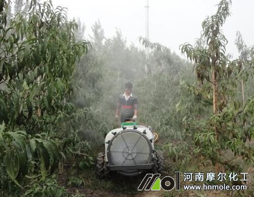 水溶肥好處3 水溶肥好處3