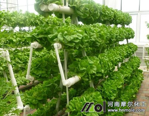 水溶肥推廣技巧 水溶肥推廣技巧