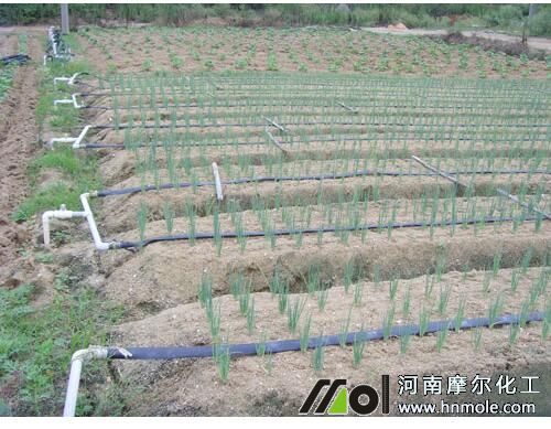 水溶肥滴灌施肥 水溶肥滴灌施肥