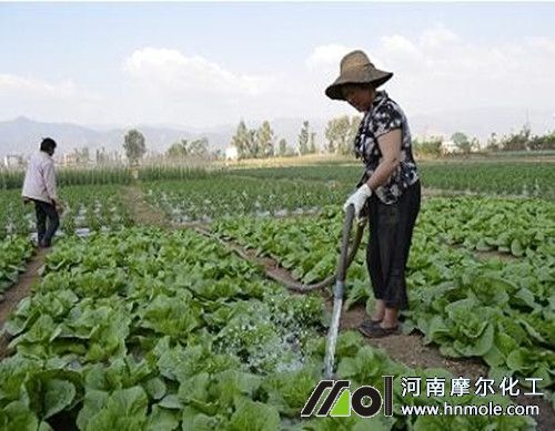 水溶肥沖施 水溶肥沖施