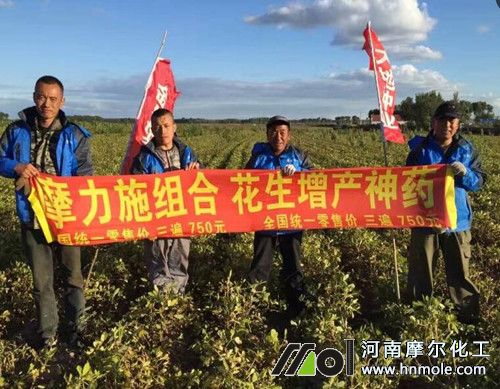 水溶肥效果見(jiàn)證 水溶肥效果見(jiàn)證