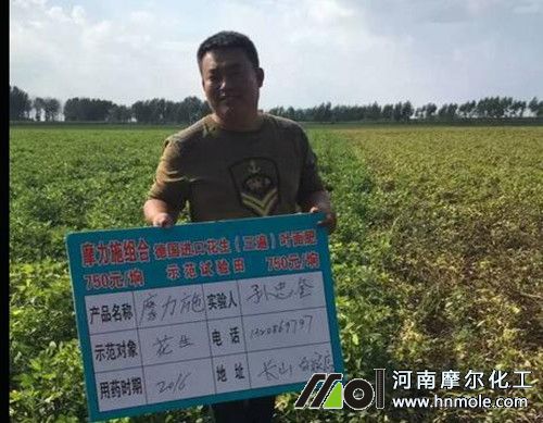 水溶肥效果見(jiàn)證 水溶肥效果見(jiàn)證