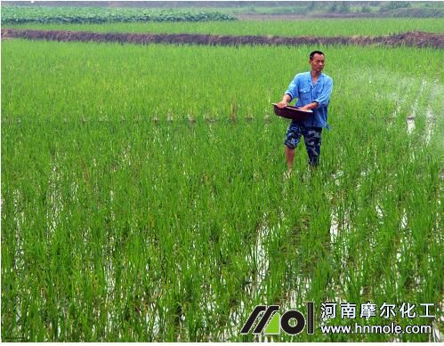 磷肥做基肥的用量 磷肥做基肥的用量