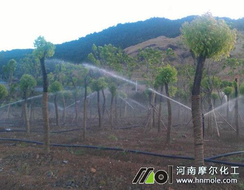 含腐植酸水溶肥料配方特點 含腐植酸水溶肥料配方特點