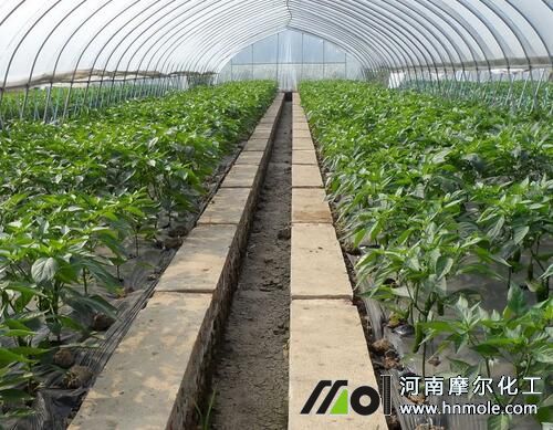 蔬菜水溶肥使用方法 蔬菜水溶肥使用方法