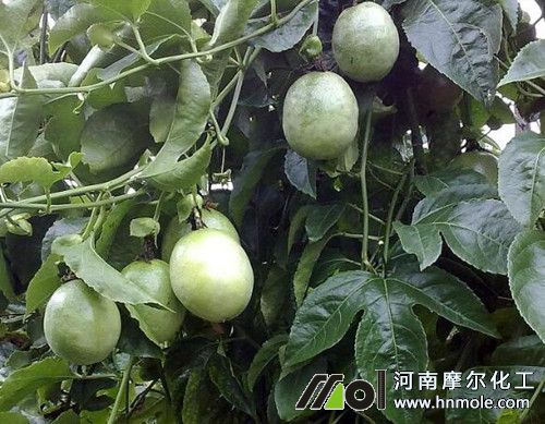 11_副本.jpg 11_副本.jpg