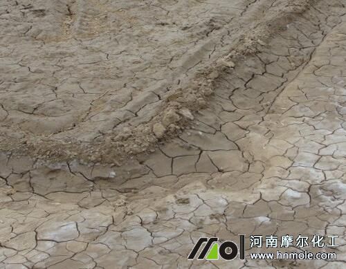 桃樹葉子發黃脫落原因 桃樹葉子發黃脫落原因