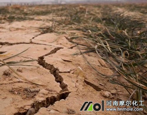 桃樹葉子發黃脫落原因 桃樹葉子發黃脫落原因