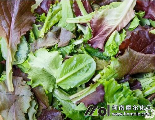 茉莉花肥自制 茉莉花肥自制