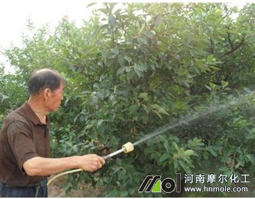 氨基酸葉面肥對植物上的作用 氨基酸葉面肥對植物上的作用