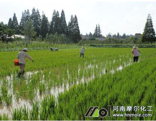 水溶肥六大優(yōu)點及使用技巧 水溶肥六大優(yōu)點及使用技巧