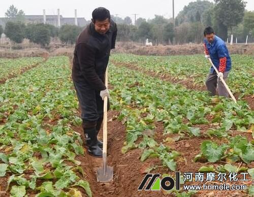 水溶肥的使用方法 水溶肥的使用方法