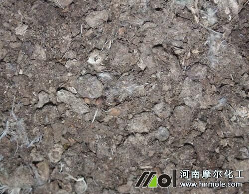 柑橘幼苗施肥 柑橘幼苗施肥