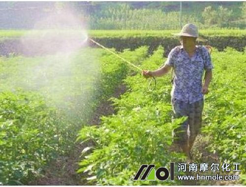 水溶肥葉面噴施 水溶肥葉面噴施