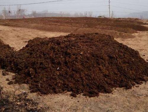 櫻桃施基肥 櫻桃施基肥