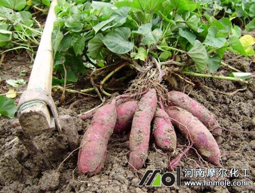 45_副本.jpg 45_副本.jpg