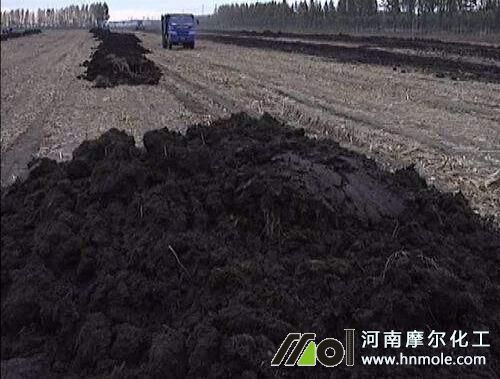 種植西蘭花施農家肥 種植西蘭花施農家肥