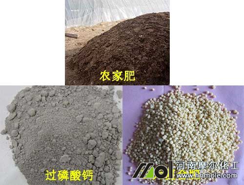 豆角施底肥 豆角施底肥