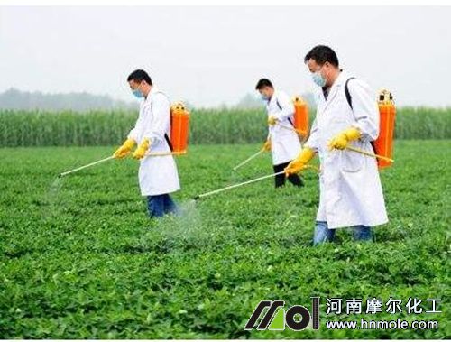 水溶肥噴施 水溶肥噴施