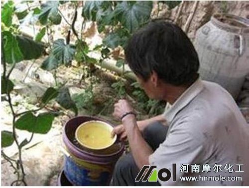 水溶肥沖施 水溶肥沖施