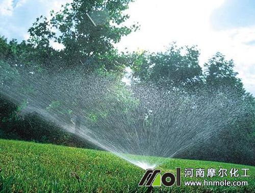 水溶肥噴灌 水溶肥噴灌