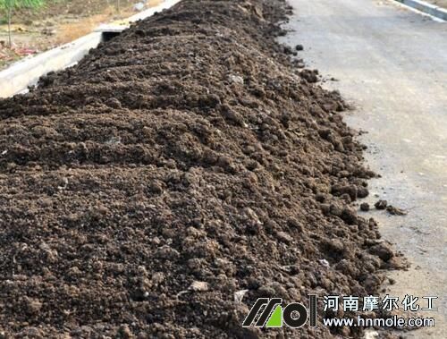 大蔥施底肥 大蔥施底肥