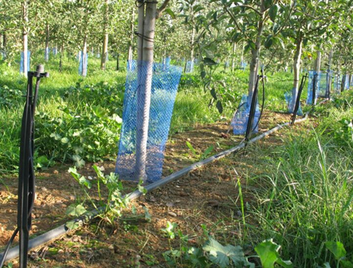 水肥一體化應(yīng)用 水肥一體化應(yīng)用