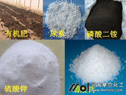 種植生菜所施底肥 種植生菜所施底肥