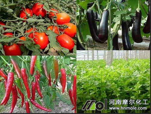 茄果蔬菜最需鉀肥 茄果蔬菜最需鉀肥