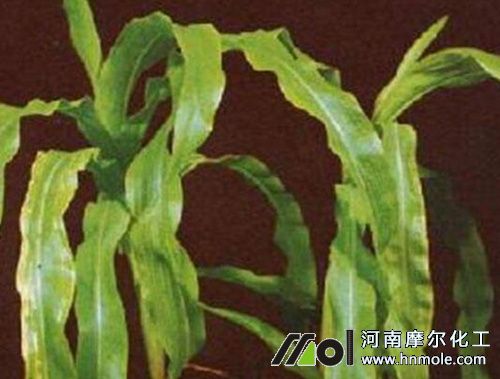 11_副本.jpg 11_副本.jpg