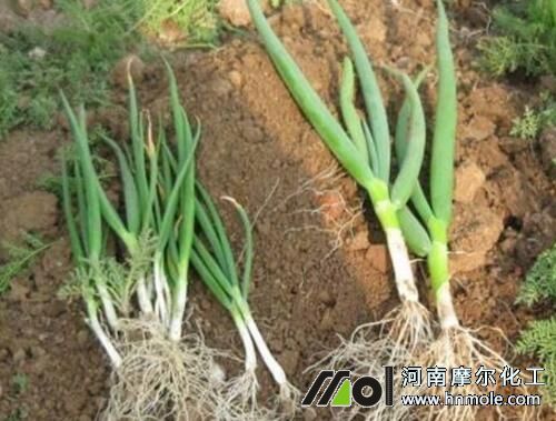 水溶肥效果對比試驗 水溶肥效果對比試驗