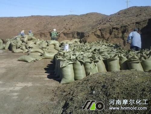 枸杞追施有機肥 枸杞追施有機肥